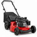 21-in. 163cc Gas Push Mower (M125)