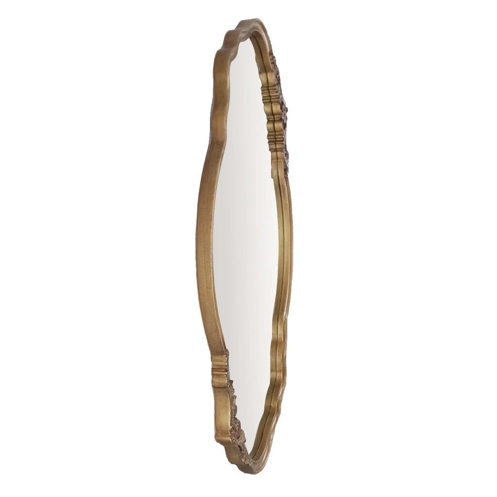 2026 NewMy Texas House Irregular Gold Framed Mirror 25x38