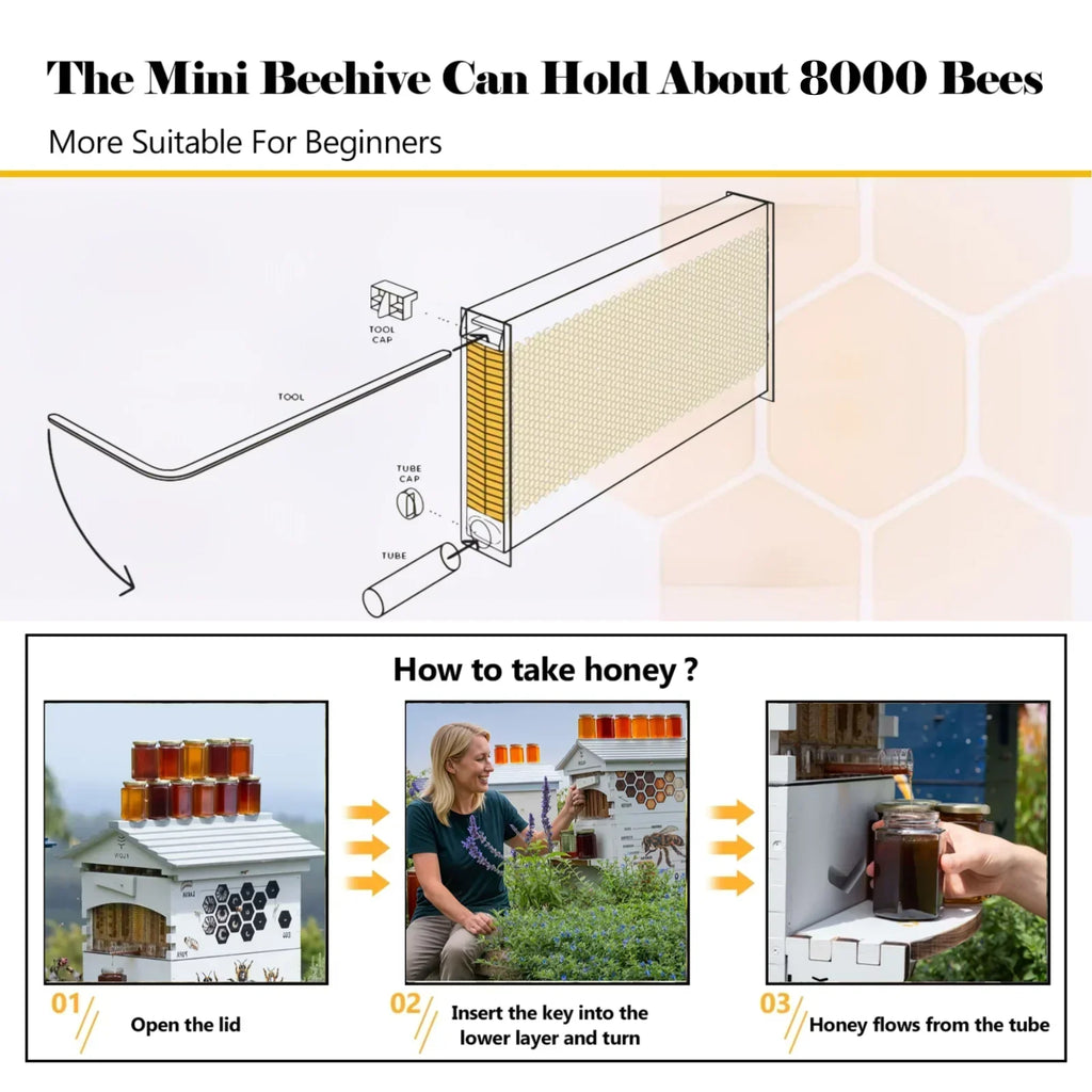 2026 NewBee Hive with Tap and Flow Hive Frame Complete Beehive Kit for Beginners