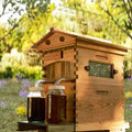 2026 NewBee Hive with Tap and Flow Hive Frame Complete Beehive Kit for Beginners