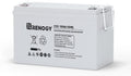Renogy 12 Volt 100Ah Deep Cycle AGM Battery, Lead Acid Solar Battery