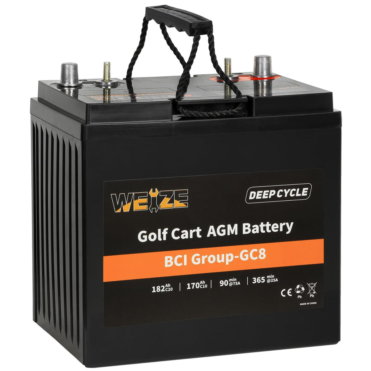 WEIZE 8-Volt 182-Amp CCA Golf Cart Battery