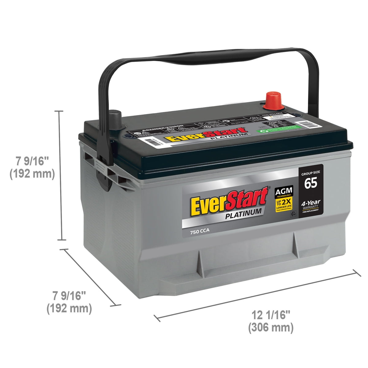 EverStart Platinum AGM Automotive Battery, Group Size 65