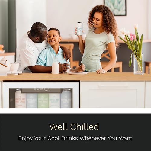 hOmeLabs Beverage Refrigerator and Cooler - 120 Can Mini Fridge with Glass Door for Soda Beer or Wine