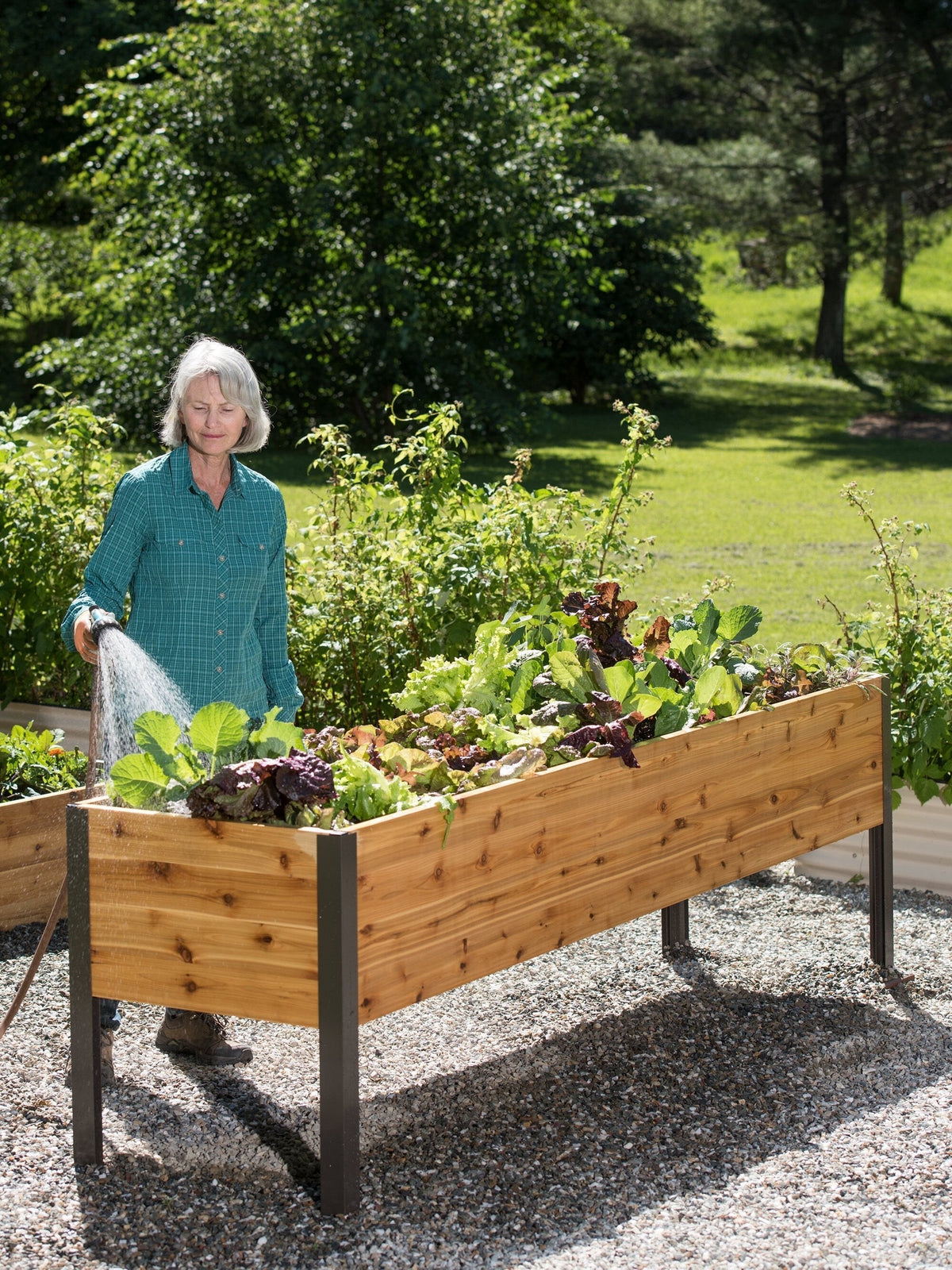 EcoStained Self-Watering Raised Planter Box with Aluminum Legs, Cedar/Cypress, 96   x24   x29
