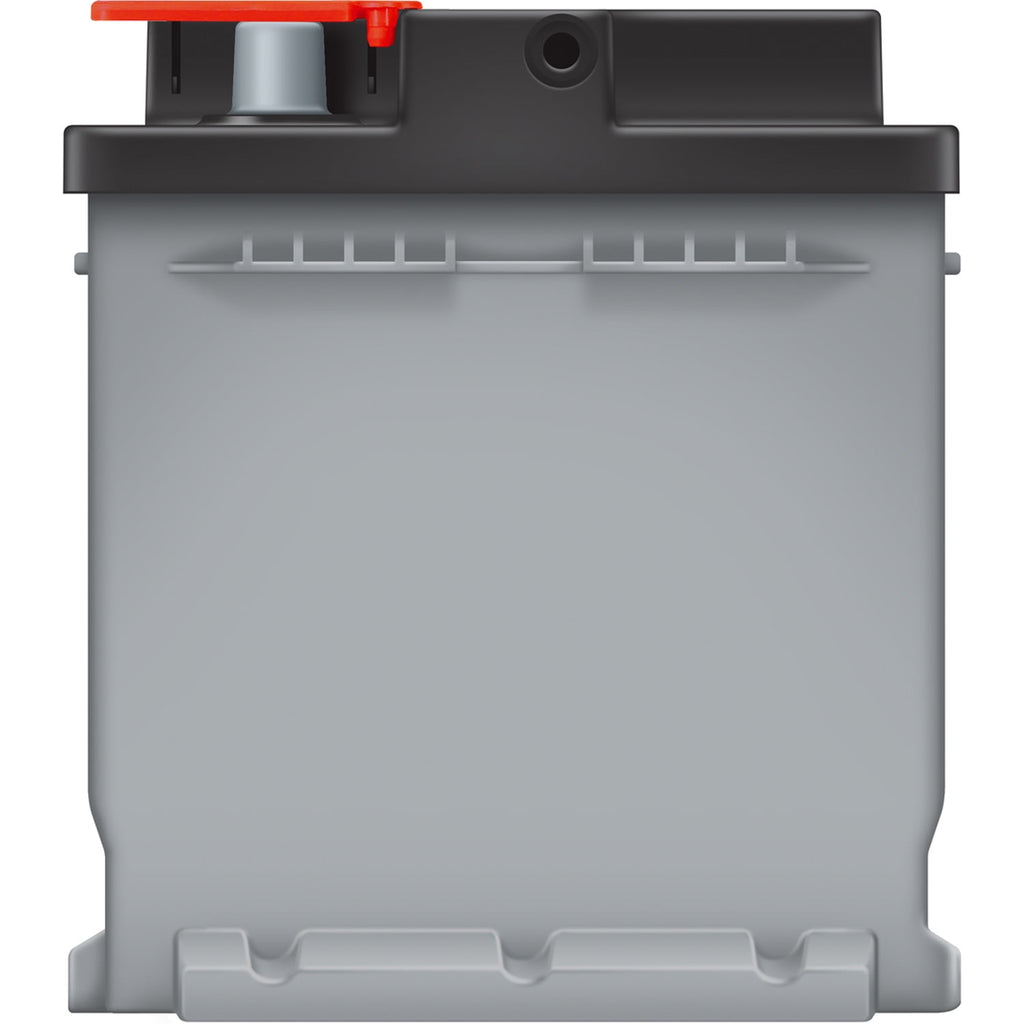 EverStart Platinum AGM Battery, Group Size H8, 12 V
