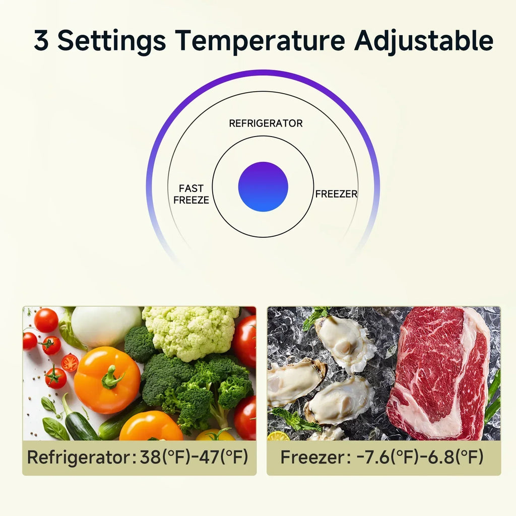 2026 NewBANGSON Upright Freezer, 7.0 Cu.ft Freestanding Freezer, Convertible Upright Freezer/Refrigerator, Single Door for Kitchen, Office, Apartment, Silver