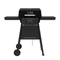 2-Burner Gas Grill